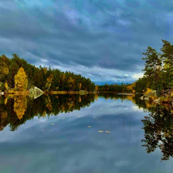 Stockholm: Nature Reserve Hiking Tour + Campfire Lunch + Roundtrip Transport 3