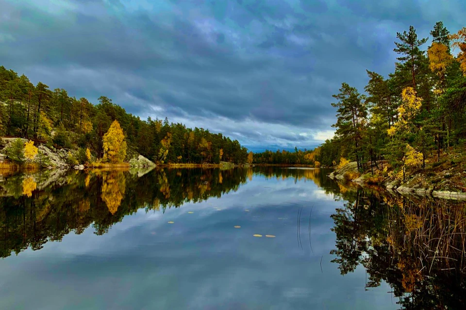 Autumn Hiking Tour Stockholm