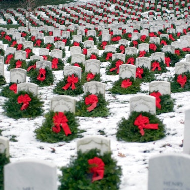 Arlington Cemetery & Smithsonian National Museum of American History Geführte Tour