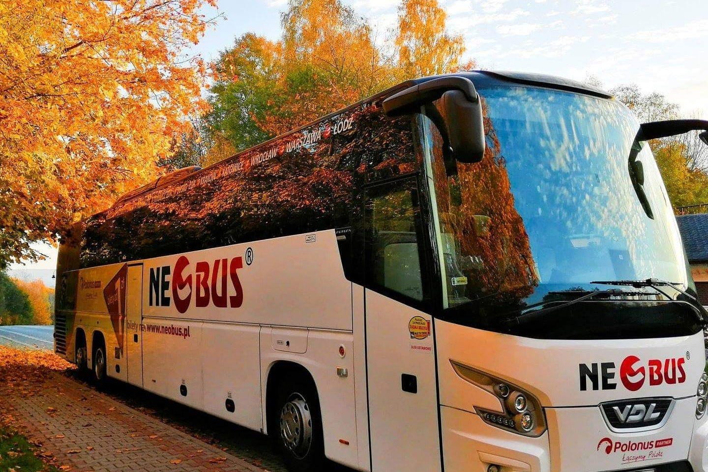 Neobus Buses