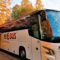Neobus-bussar
