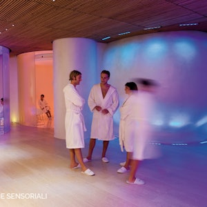Prova la tranquillità delle Terme Sensoriali con questo biglietto per l'interno della struttura.