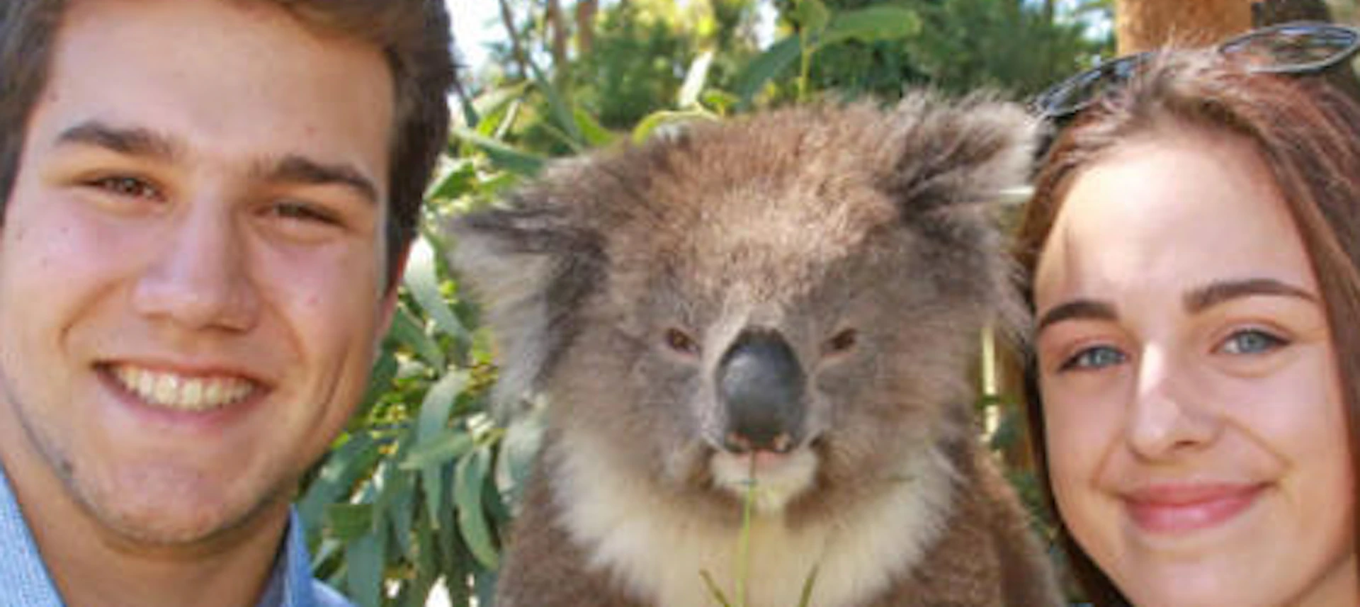 Two people smiling while standing next to a koala sitting on a branch in a lush, outdoor setting.