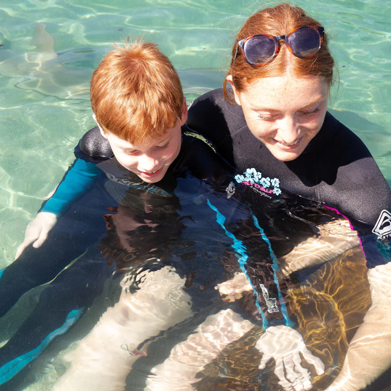 Irukandji Shark & Ray Encounters in Anna Bay β Tiqets