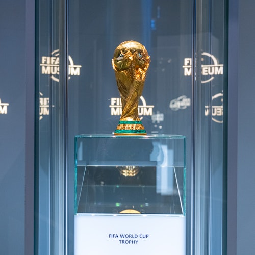 Museo de la FIFA: Entrada