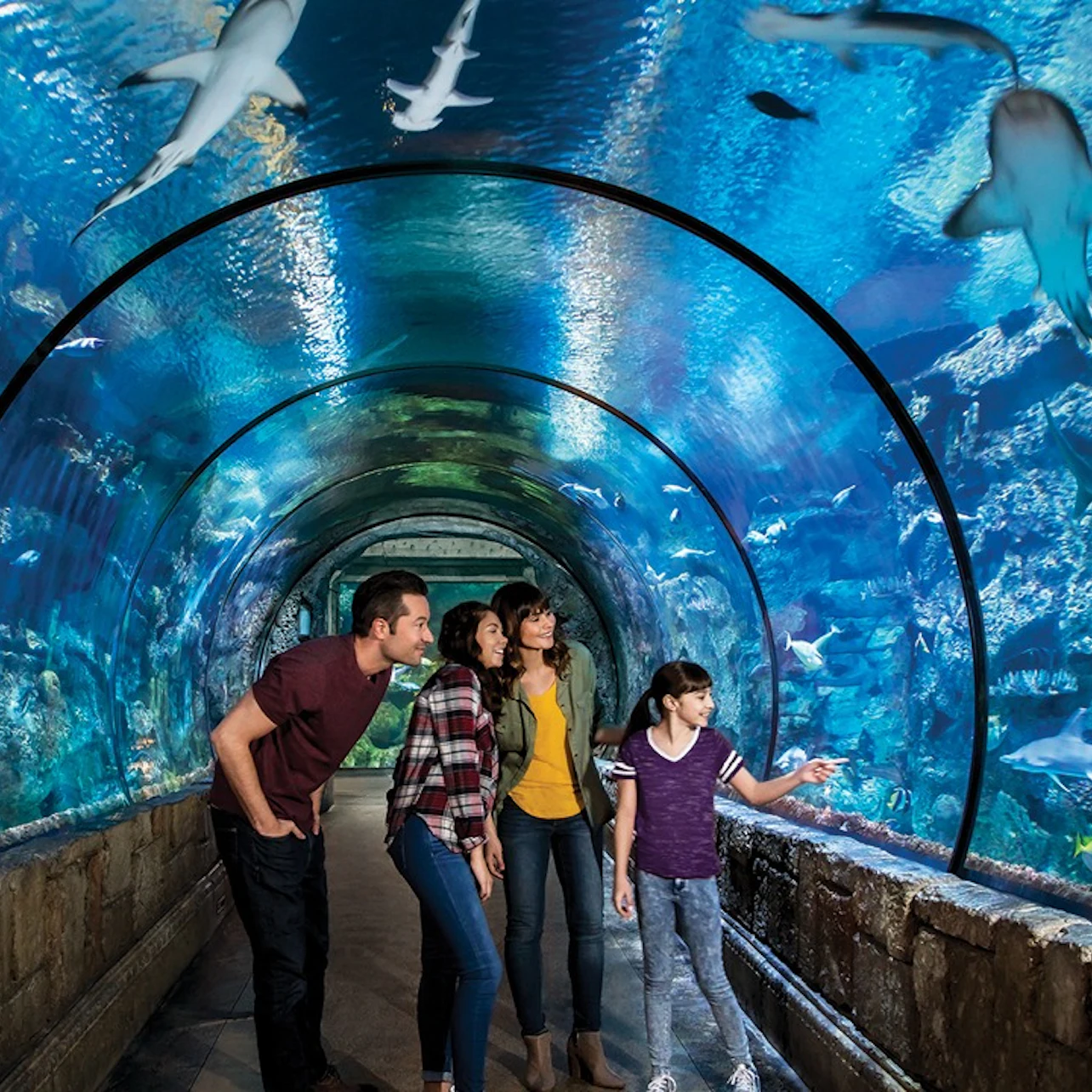 Shark Reef Aquarium at Mandalay Bay: Entry Ticket in Las Vegas β Tiqets