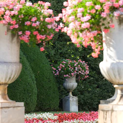 Villa Reale di Marlia