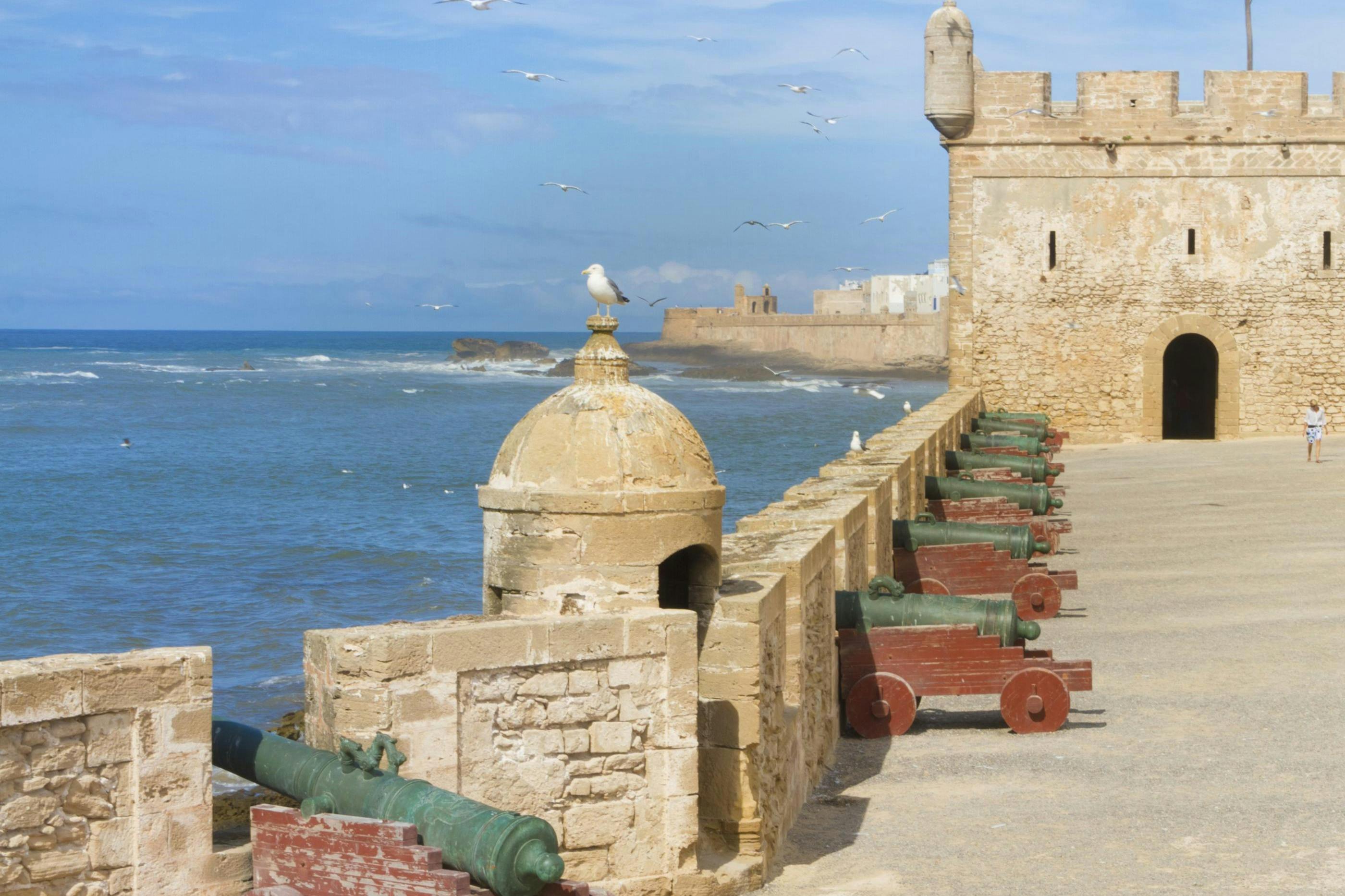 Stone fort with cannons lining a seaside wall, seagulls flying overhead, and a seagull perched on a dome structure.