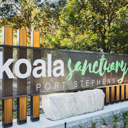 Port Stephens Koala Sanctuary 3