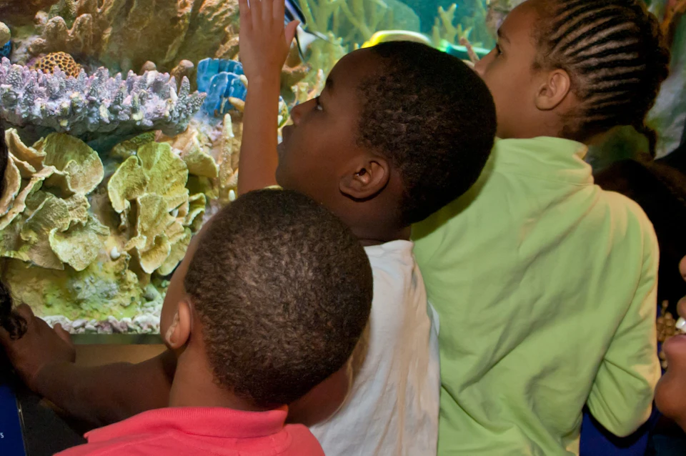 Children and a smiling adult observing colorful fish and coral inside a large aquarium tank.