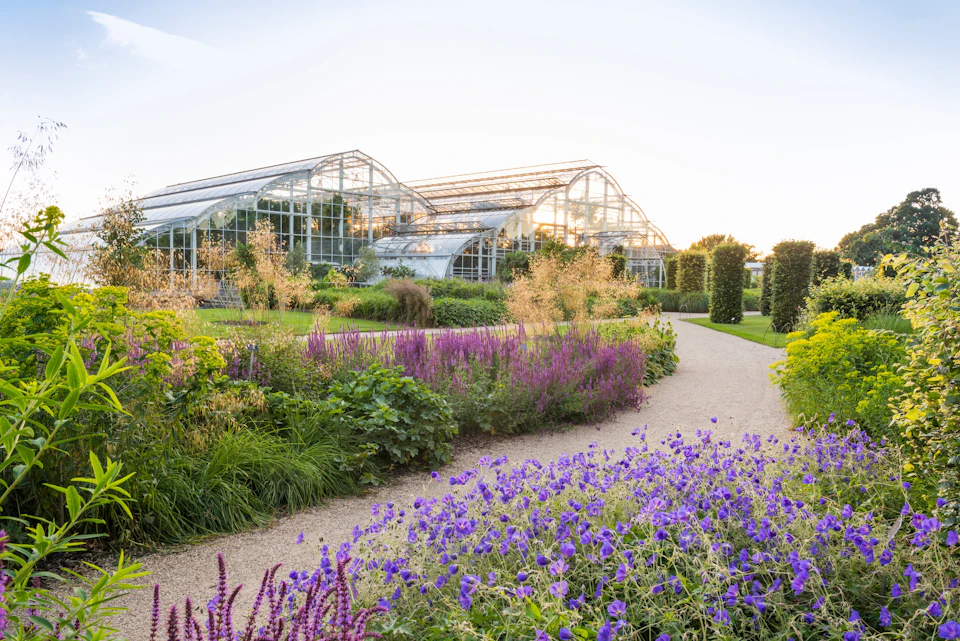 A greenhouse complex with glass structures surrounded by a lush garden featuring purple and green plants and manicured pathways.