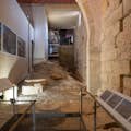 Archeologische rondleiding. Randmuur van de cultusruimte van het Romeinse Tarraco.