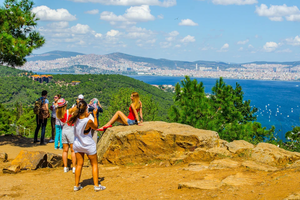 Panoramic view