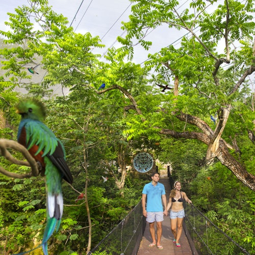Tour Image 2
