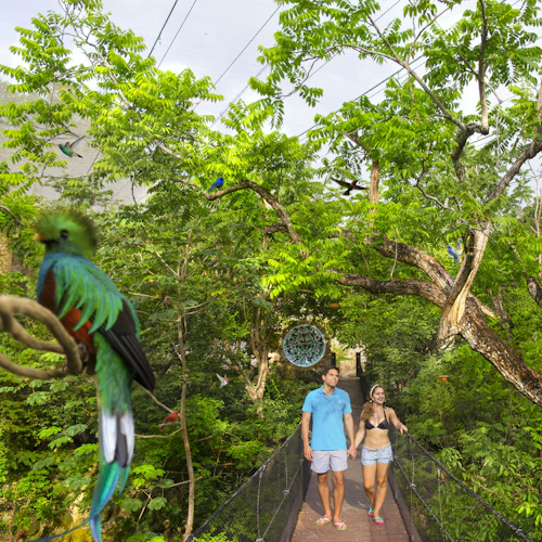 Parque Xcaret: bilhete de entrada + transporte - Photo 2