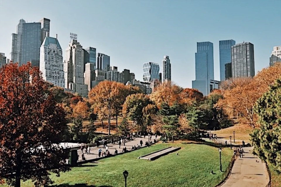 Art Inside and Out: Skip the Line at Central Park and The Metropolitan Museum of Art