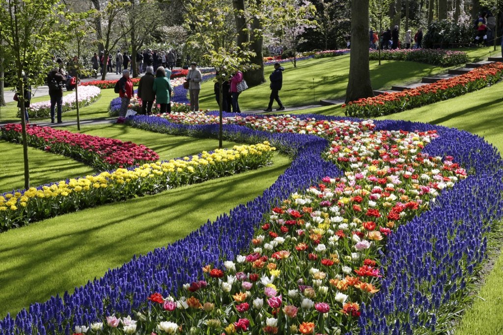 Keukenhof and Tulip Festival | Dutch Tulip Gardens