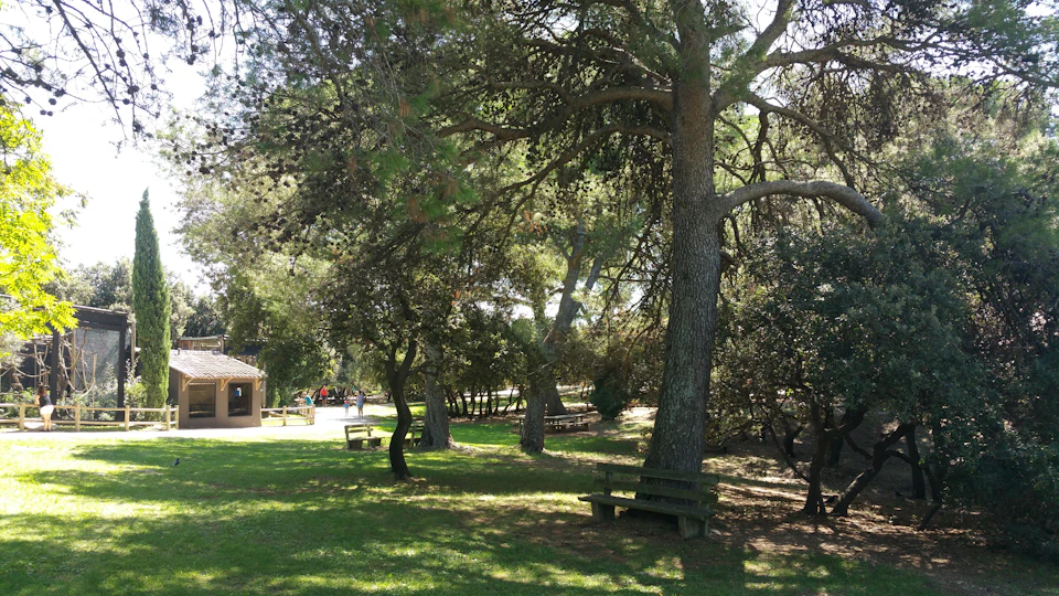 A shaded park with tall trees, a wooden bench, a grassy area, and a few people visible in the background near a building.