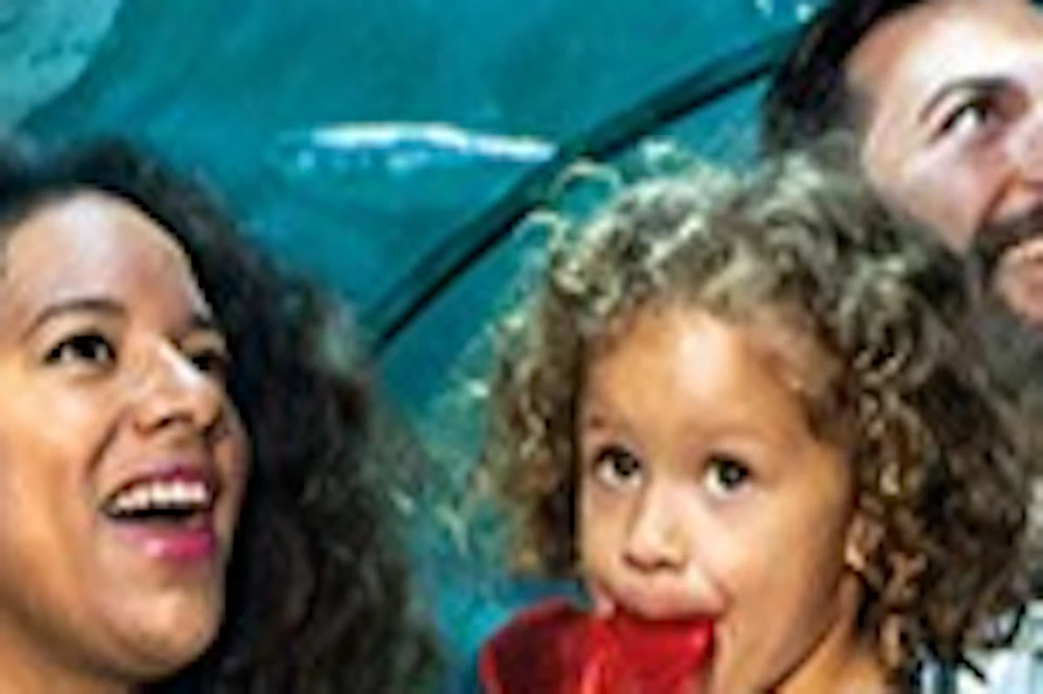 Loro Parque