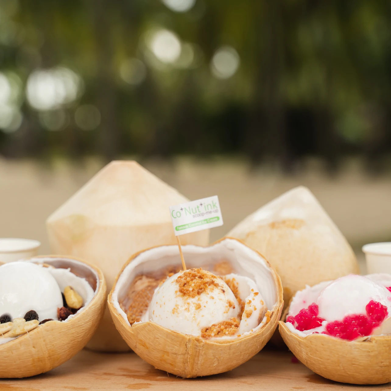 Coconut ice cream served in coconut shells with various toppings, displayed outdoors with a blurred natural background.
