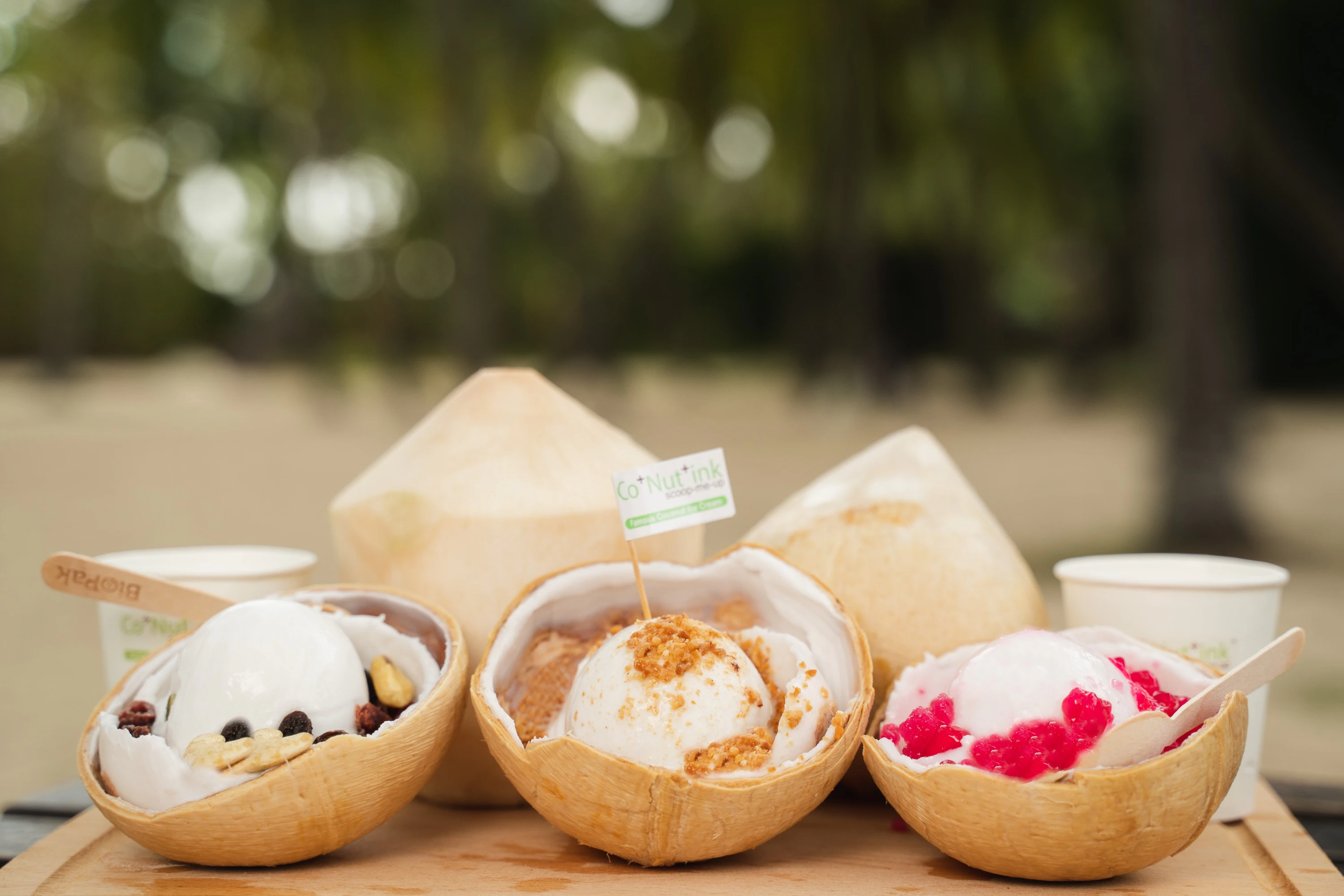 Co+Nut+Ink Singapore: Coconut Ice Cream at Sentosa, Esplanade & Gardens by the Bay