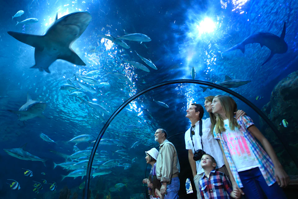 A group of people stand in an underwater tunnel in an aquarium, looking up at fish and marine life swimming overhead.