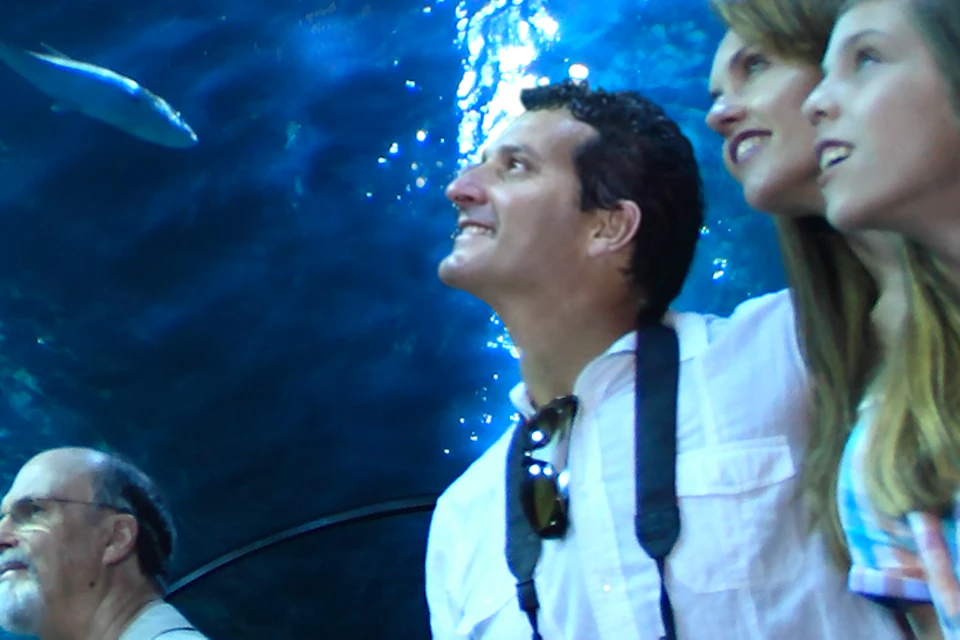 A group of people stand in an underwater tunnel in an aquarium, looking up at fish and marine life swimming overhead.