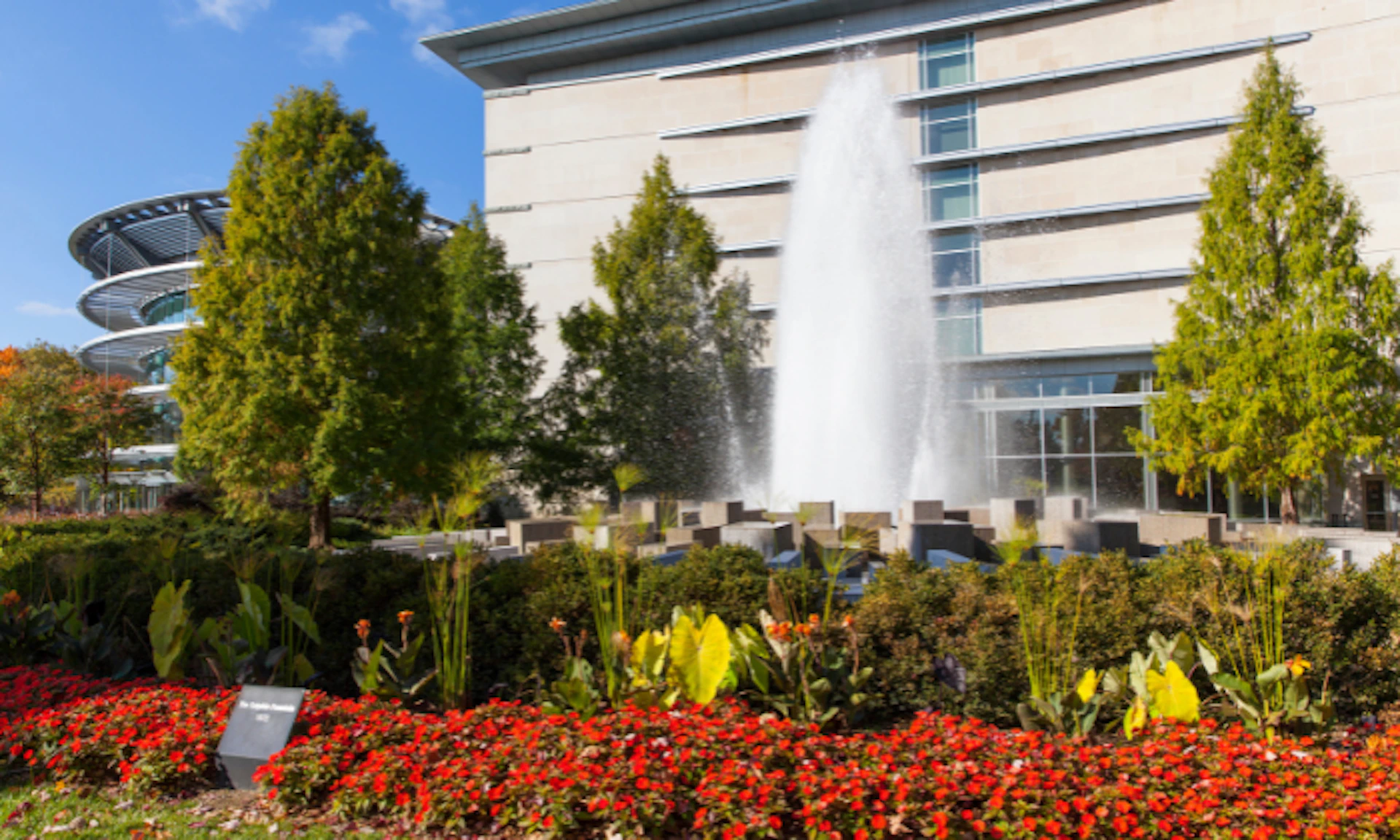 A vibrant garden with red flowers and green trees in front of a modern building featuring a large water fountain.