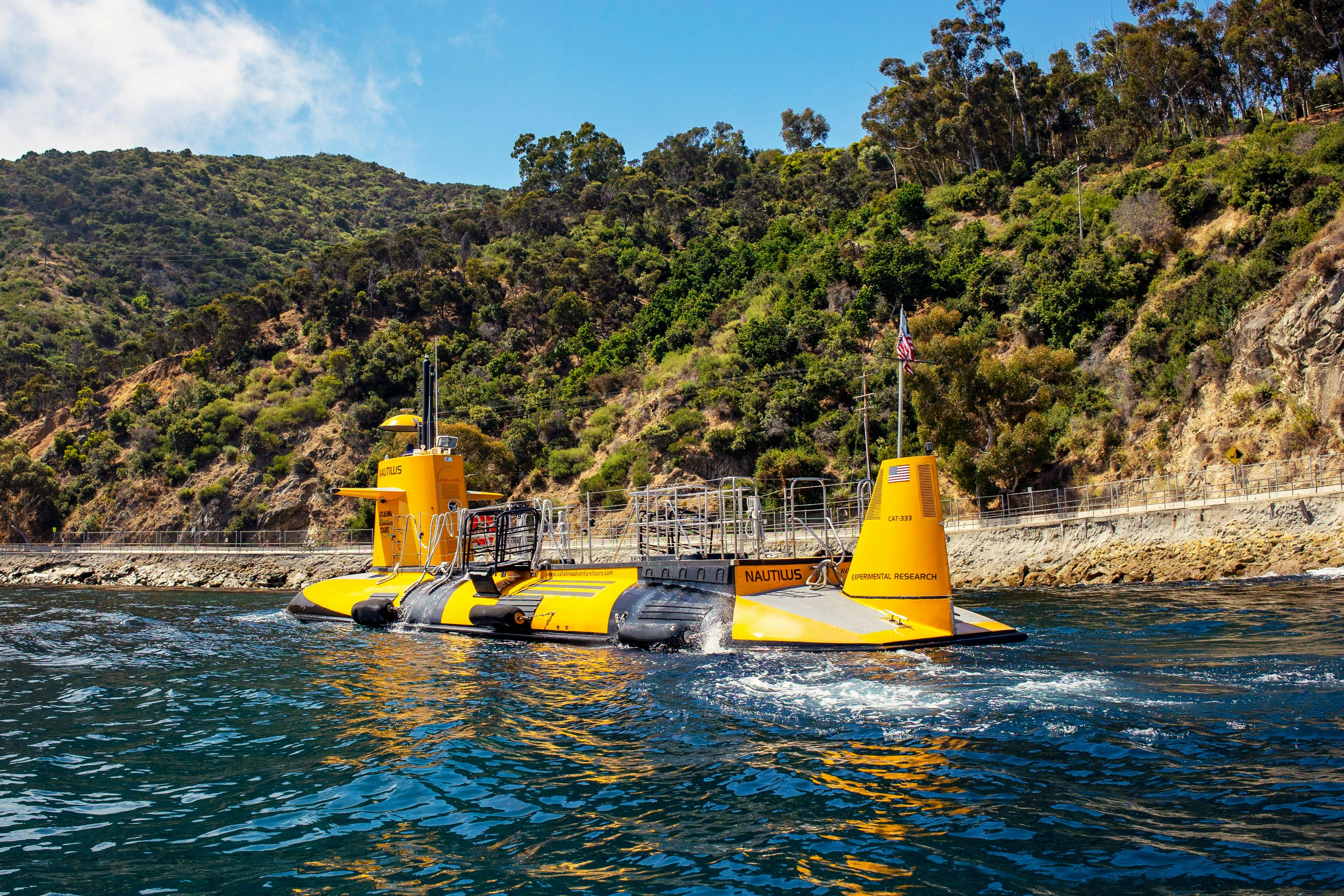 Los Angeles: Semi-Submarine Excursion from Catalina Island
