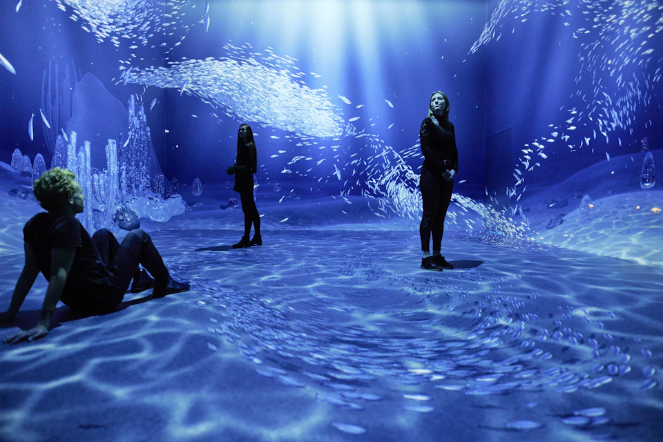 People in a room with blue light projections of fish and underwater scenes on the walls and floor.
