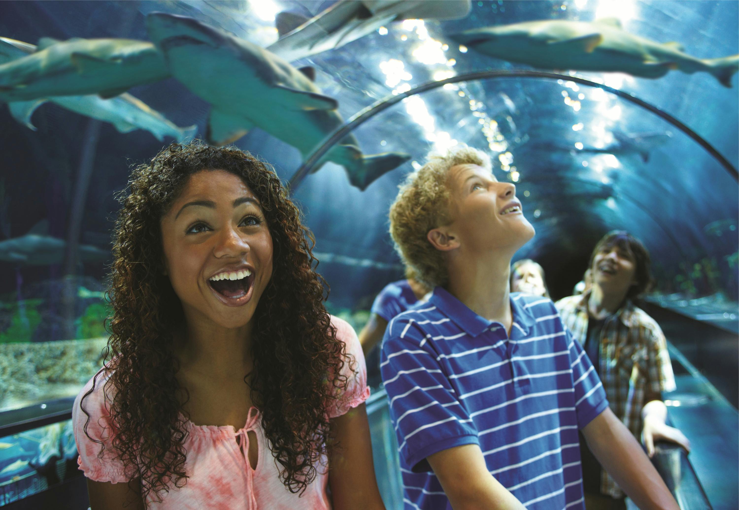 两个微笑的青少年抬头看着在水族馆隧道中游泳的鲨鱼。