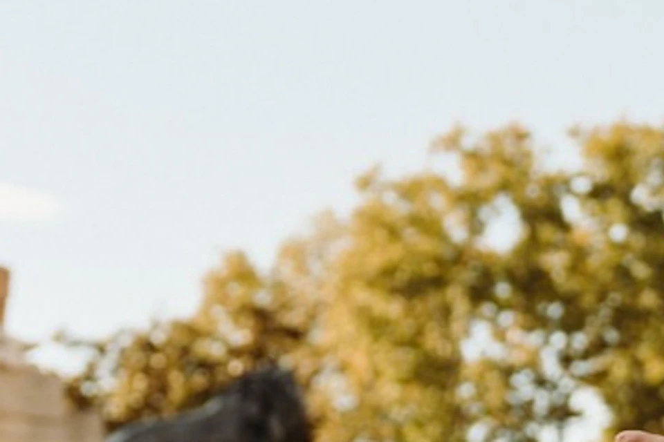A man in a hat and "devour city experiences" bag speaks outdoors near a statue with people and trees in the background.