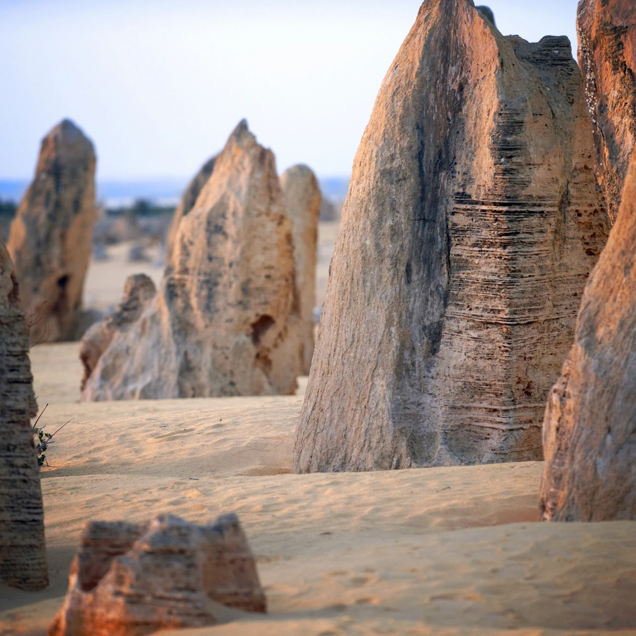 The Pinnacles Desert