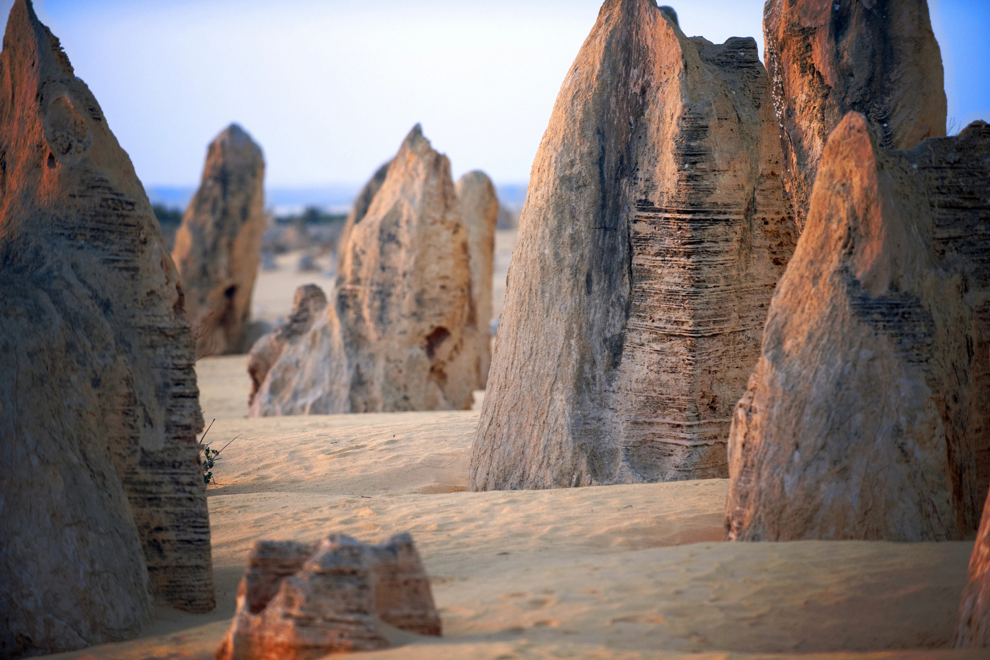 Pinnacles Desert, Yanchep & Swan Valley: Day Tour from Perth + Lunch