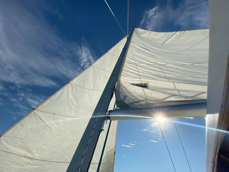 Private Sailing Tour on Lake Fairview - Photo 11