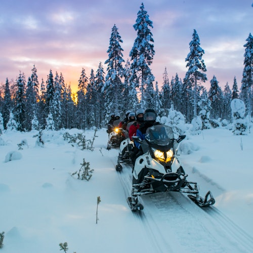 Excursión de un día en moto de nieve y animales