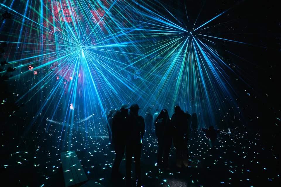 Astra Lumina at Currumbin Wildlife Sanctuary