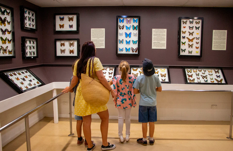 Three people, including two children, view framed butterfly displays in a museum exhibit.