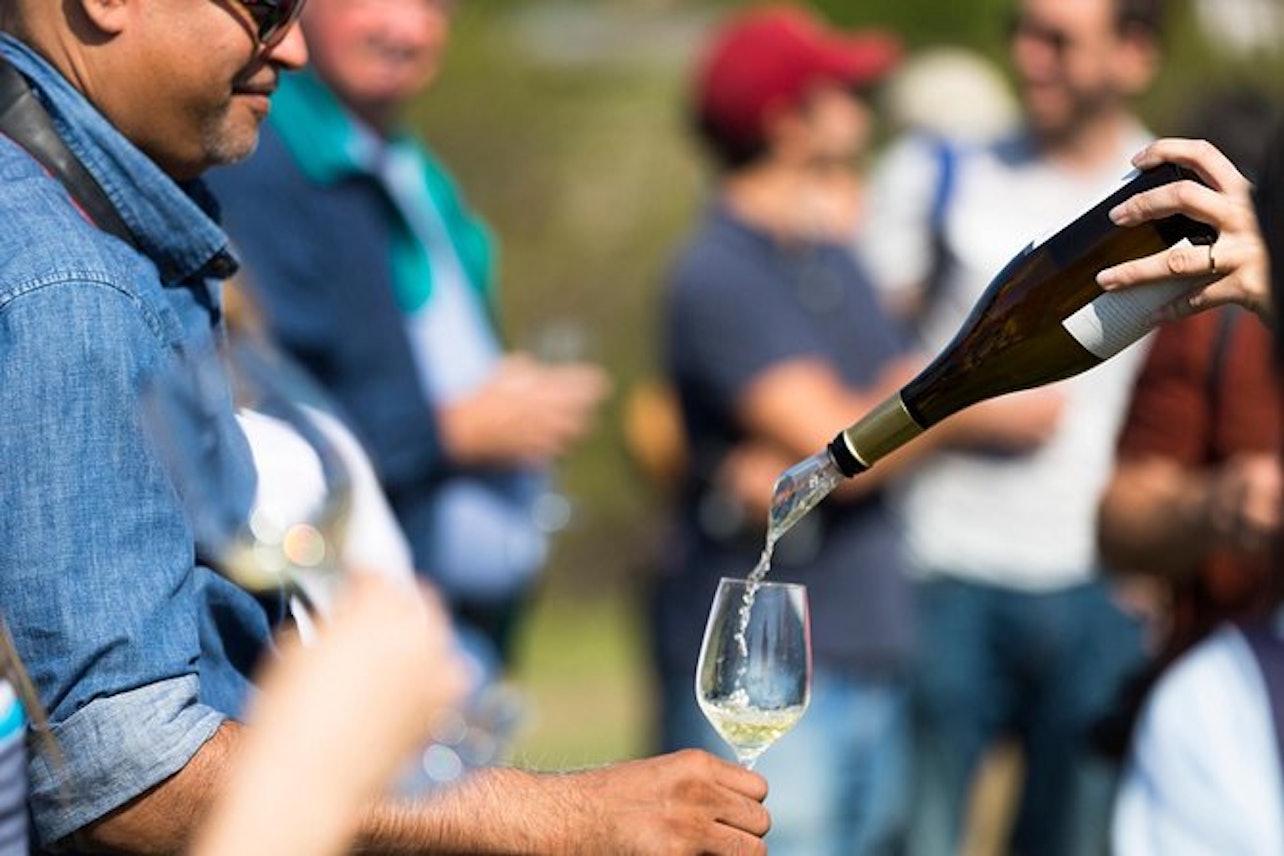 Napa & Sonoma Valley: Full Day Wine Tour from San Francisco - Accommodations in San Francisco