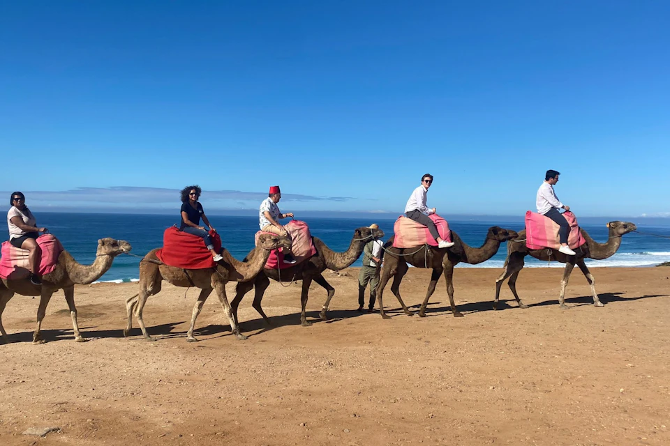 A group of people riding camels with red saddles on a beach with blue ocean and clear sky in the background.