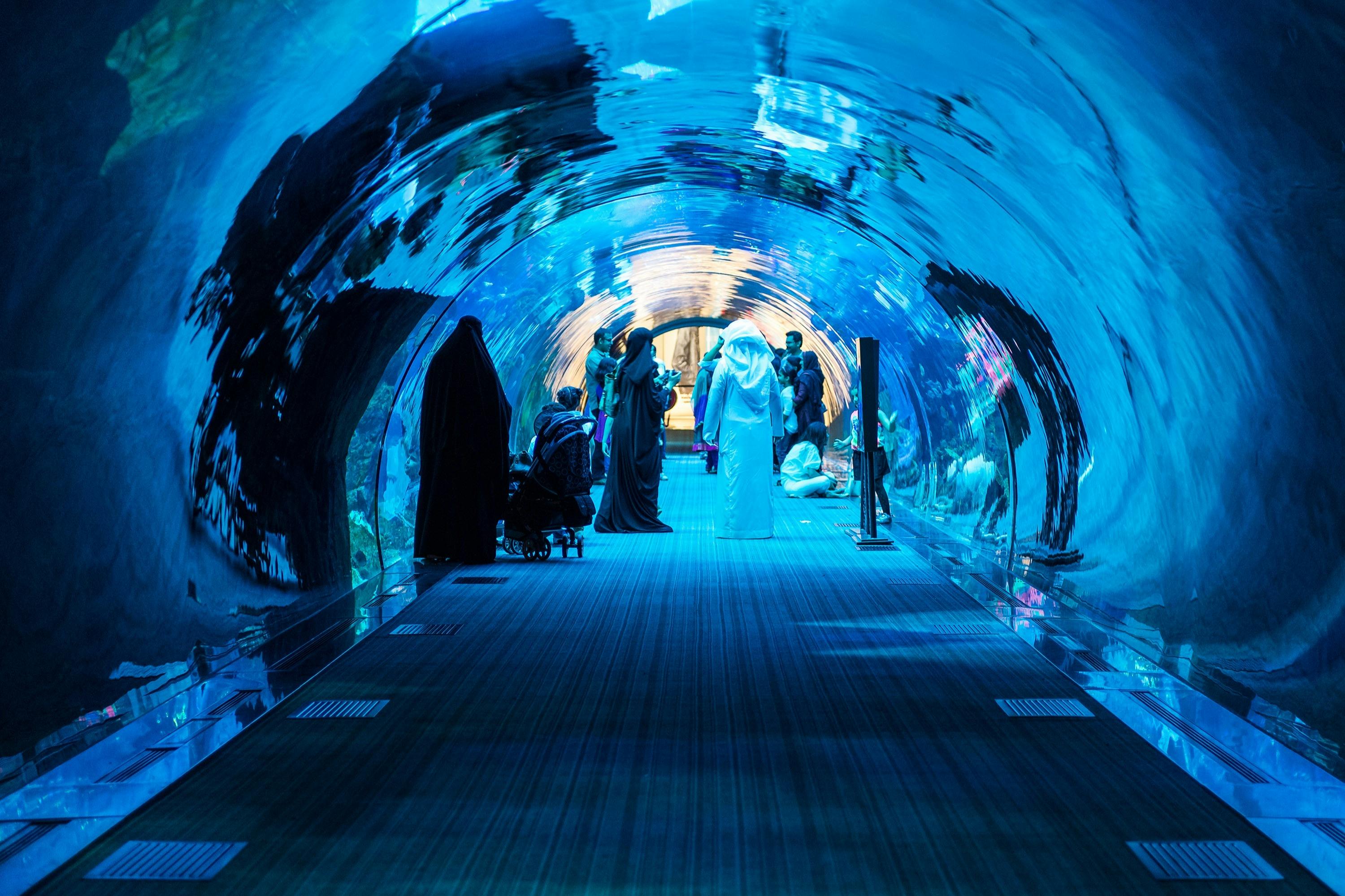 Dubai Aquarium & Underwater Zoo