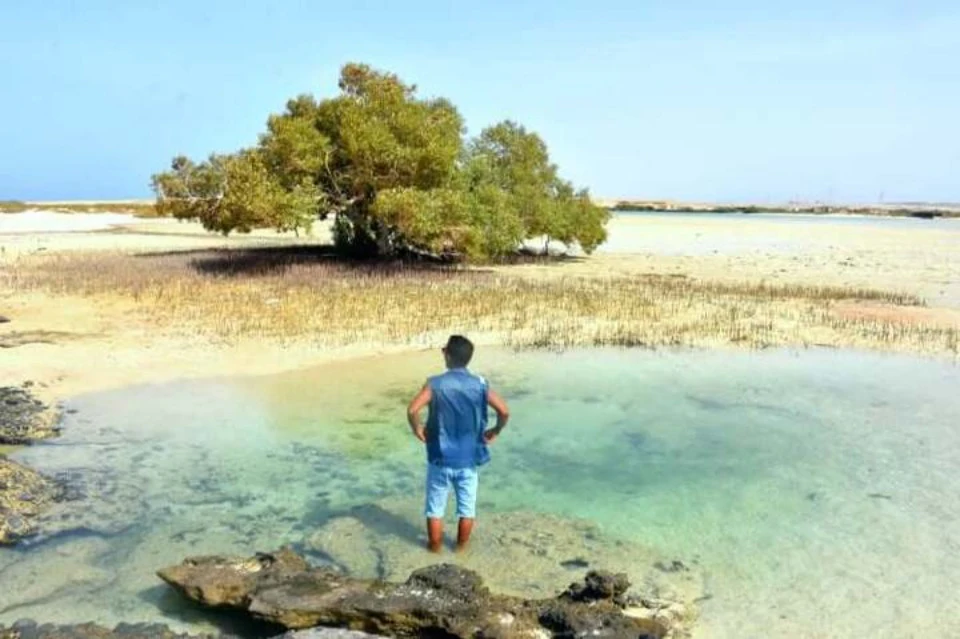 Wadi El Gemal National Park