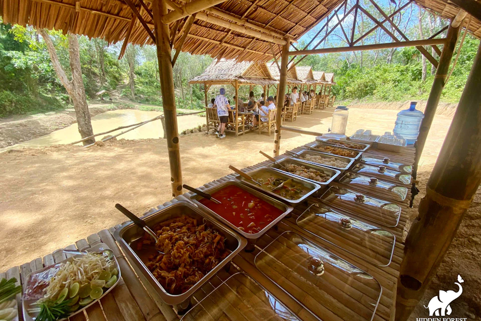 Vegetarian Meal