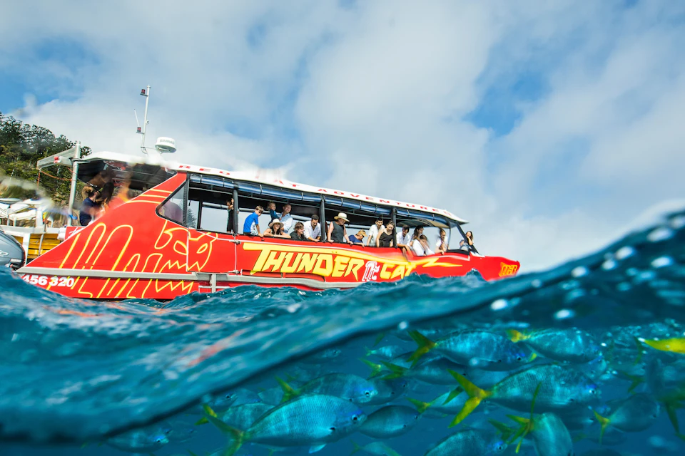 Red Cat Adventures - Mantaray Bay