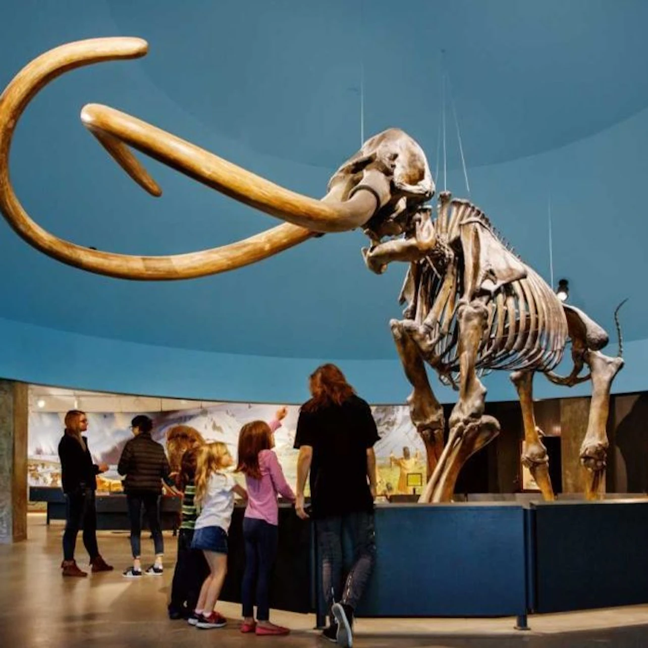 La Brea Tar Pits Museum in Los Angeles β Tiqets