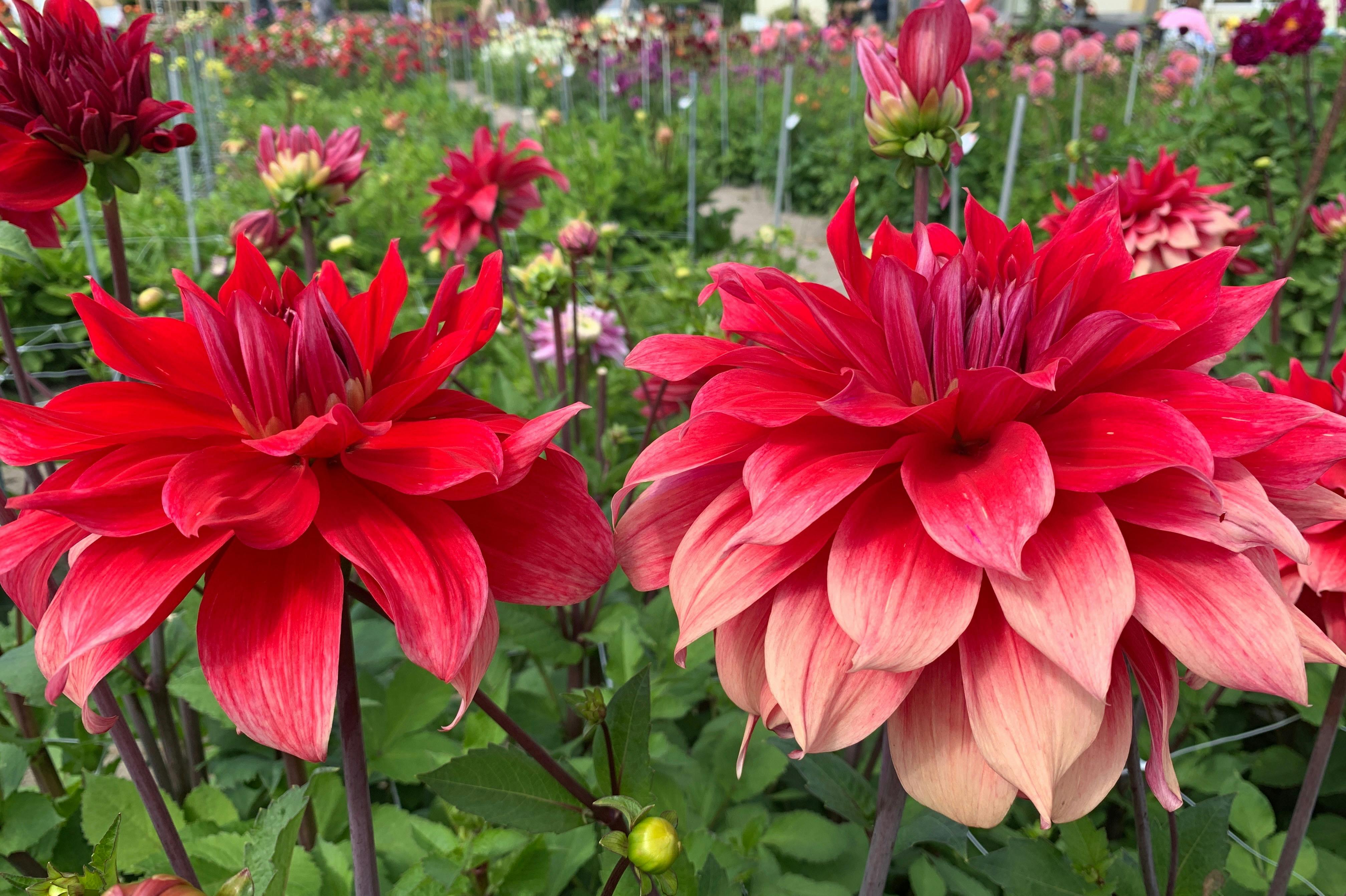 Užijte si krásné barvy