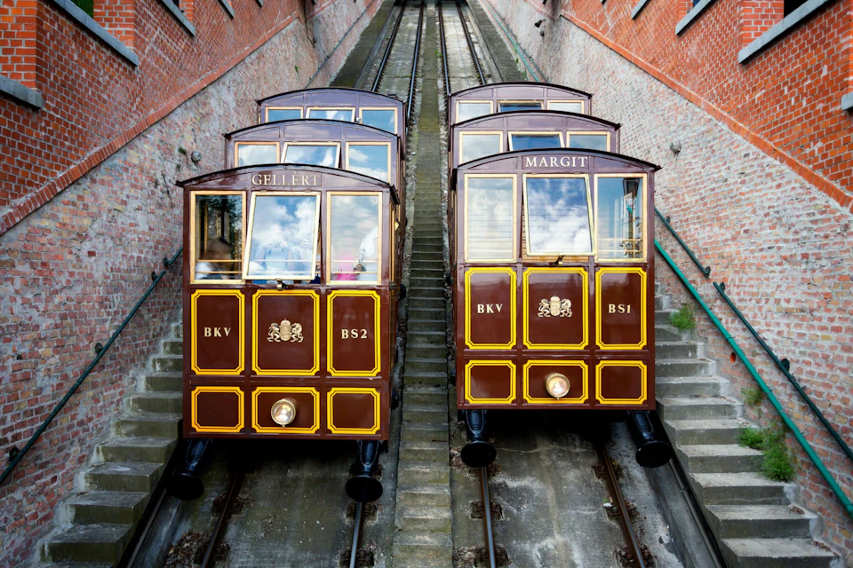 trams