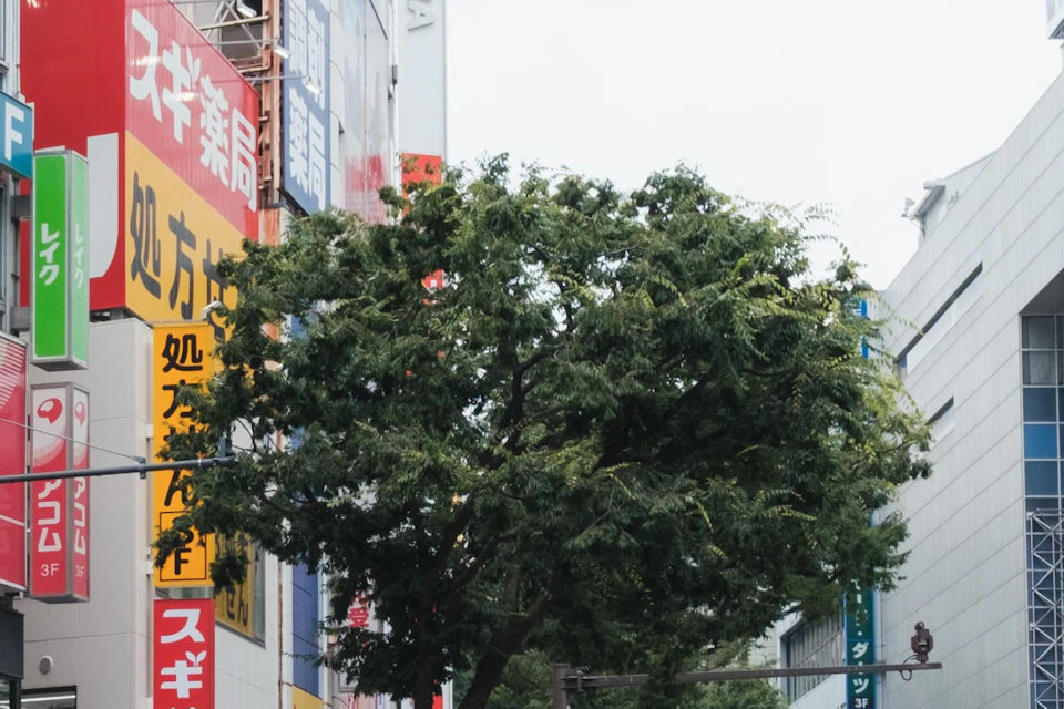 People driving go-karts on a city street with tall buildings and a large advertisement in the background.