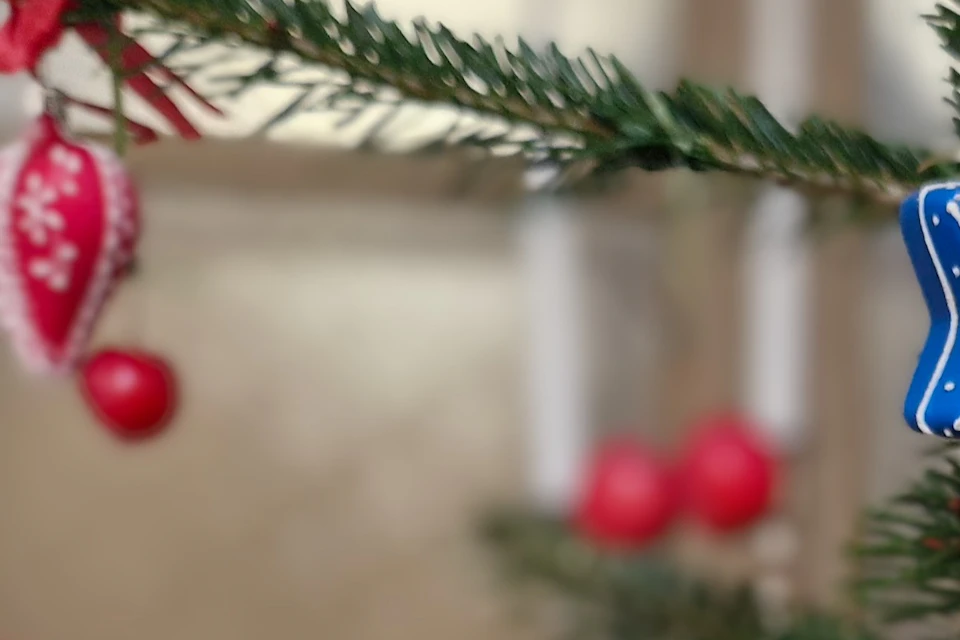 A decorated Christmas tree branch with ornaments, including blue and red shapes, and small apples hanging on red ribbons.
