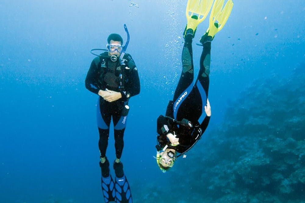 후르가다: 가이드와 함께하는 스쿠버다이빙 체험 + 왕복 교통편 + 점심 식사